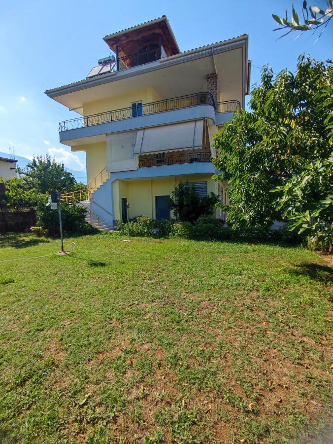 Cheerful 2 Bedroom Villa With Free Parking. Гирокастра Экстерьер фото